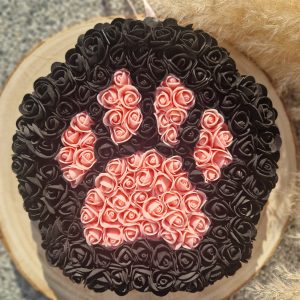 Patte chat / chien