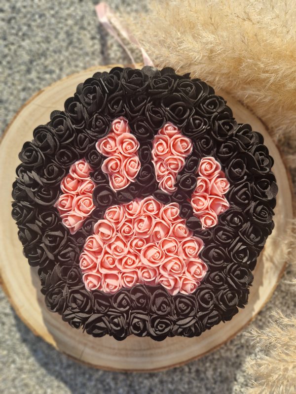Patte chat / chien